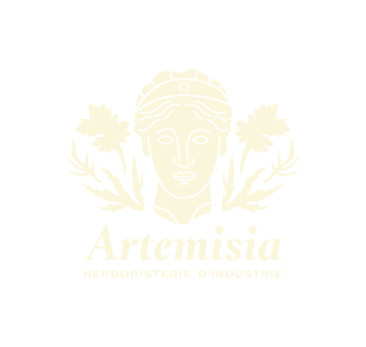 Artemisia-