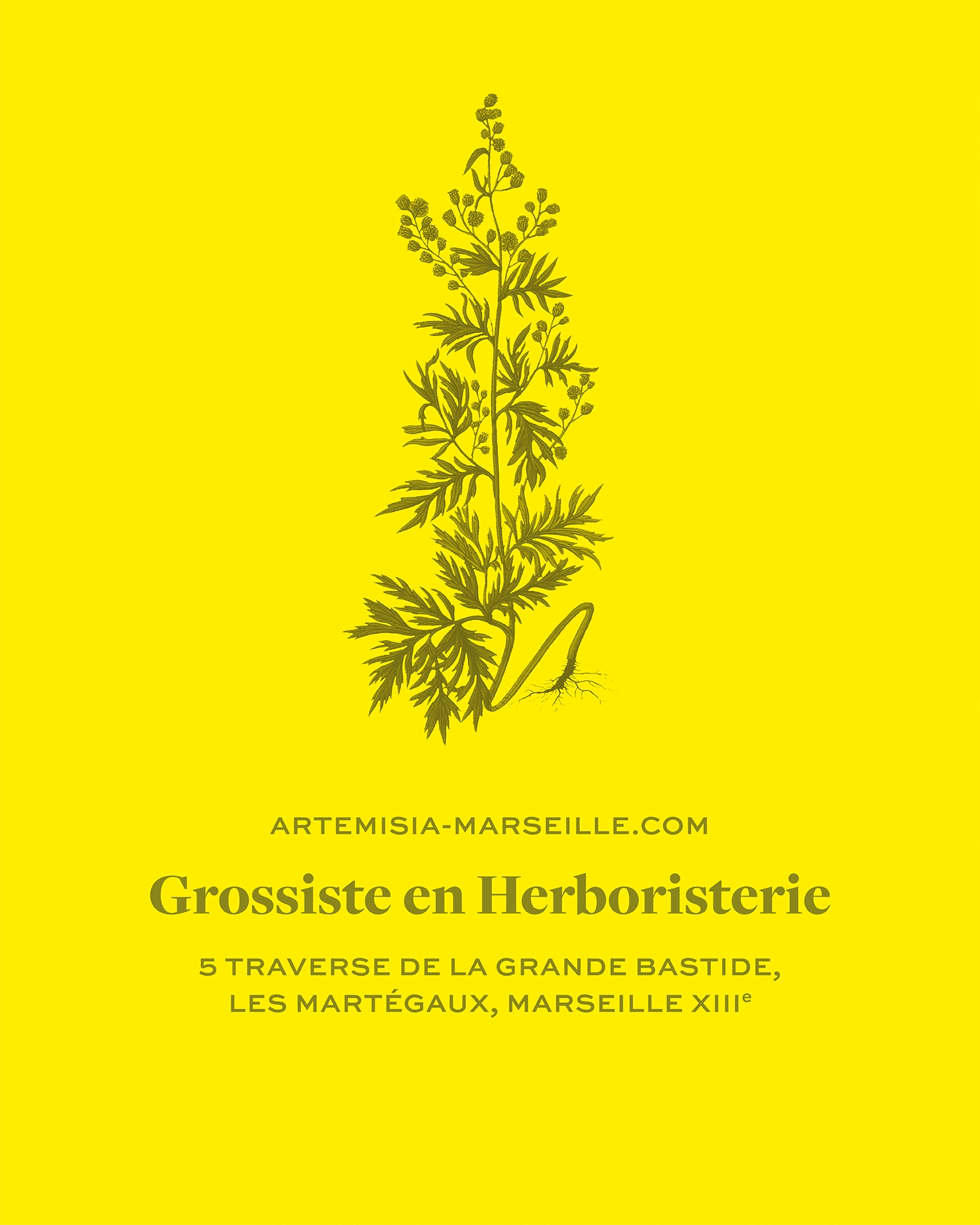 Artemisia – Typos-1