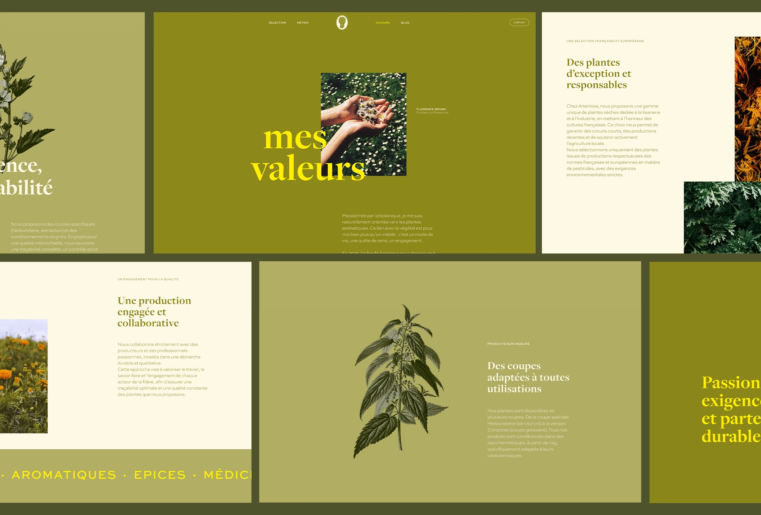 Artemisia-UX-global copie