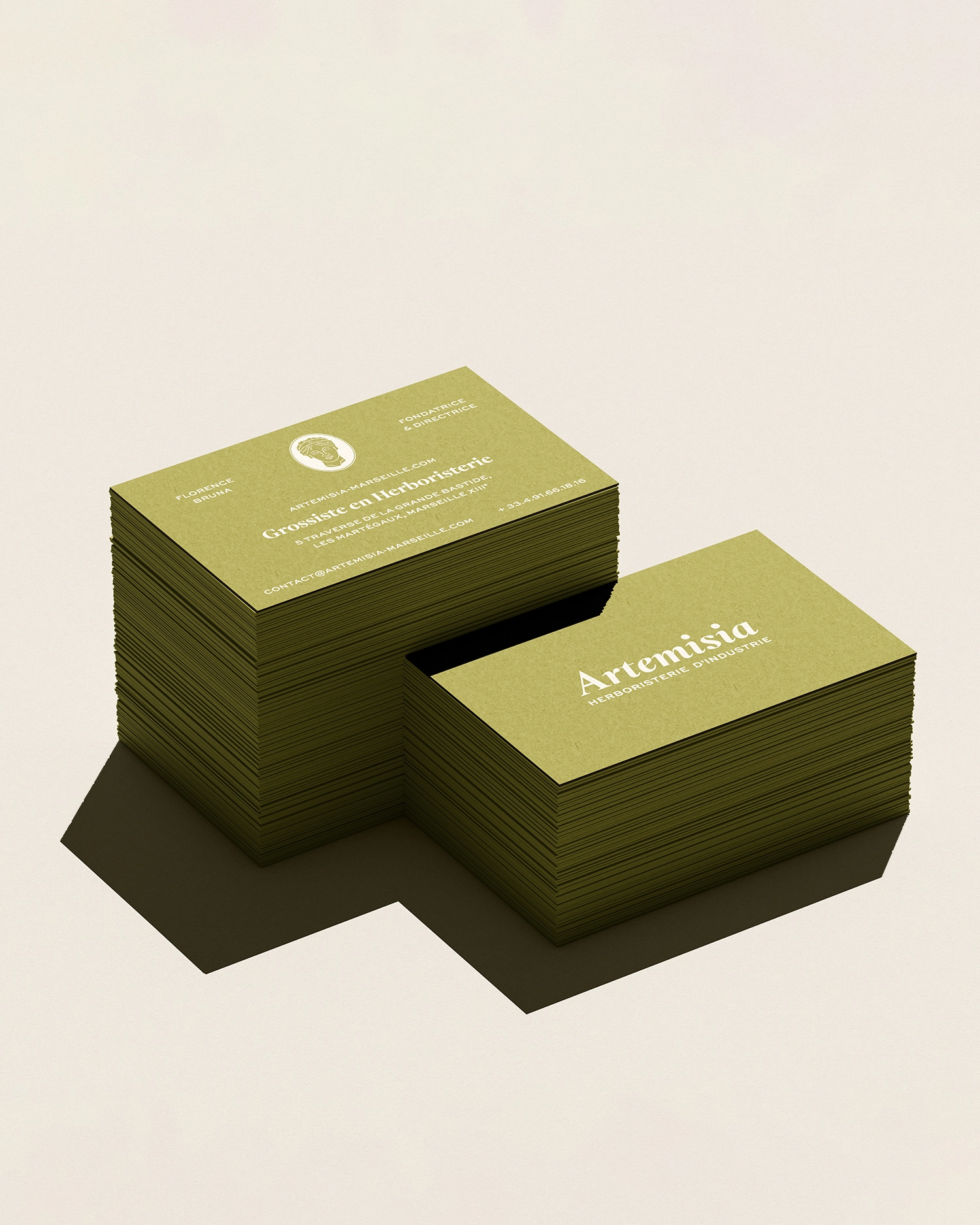 Artemisia_CDV-1