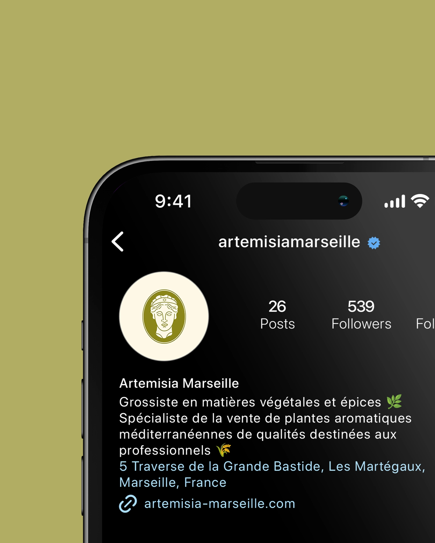 Artemisia_Instagram