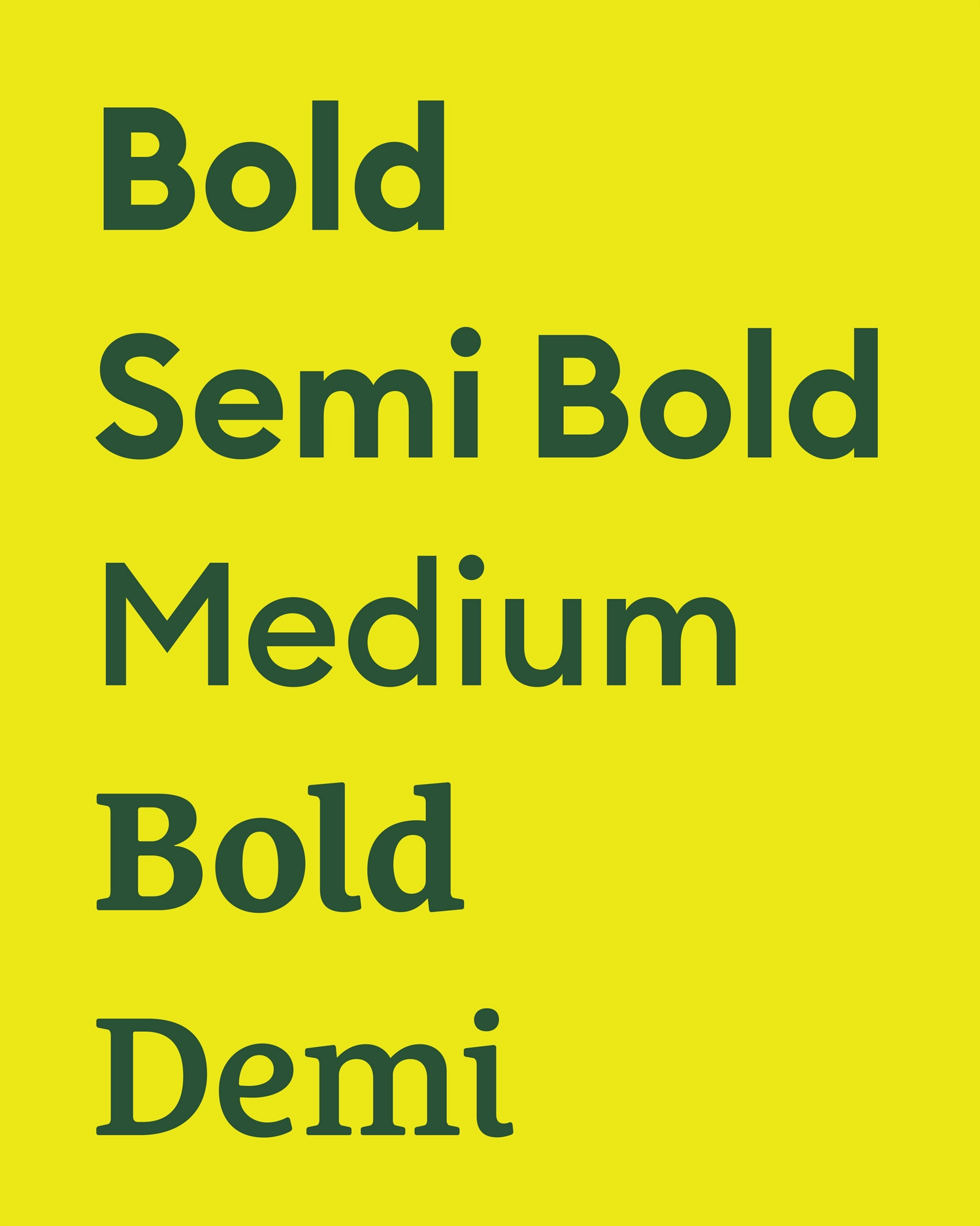 New Roots – Logo Font